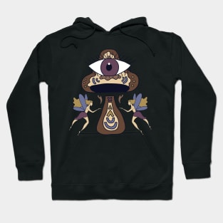 Seeing Mushroom and Fairies Hoodie